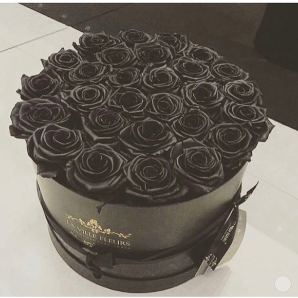 Limited Edition Makeup - Picture 2 of 4